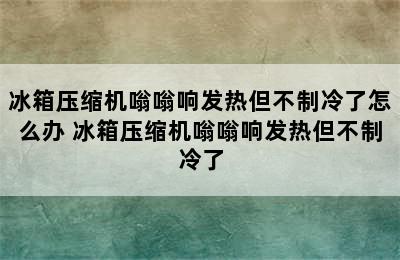 冰箱压缩机嗡嗡响发热但不制冷了怎么办 冰箱压缩机嗡嗡响发热但不制冷了